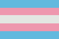 transgender pride flag